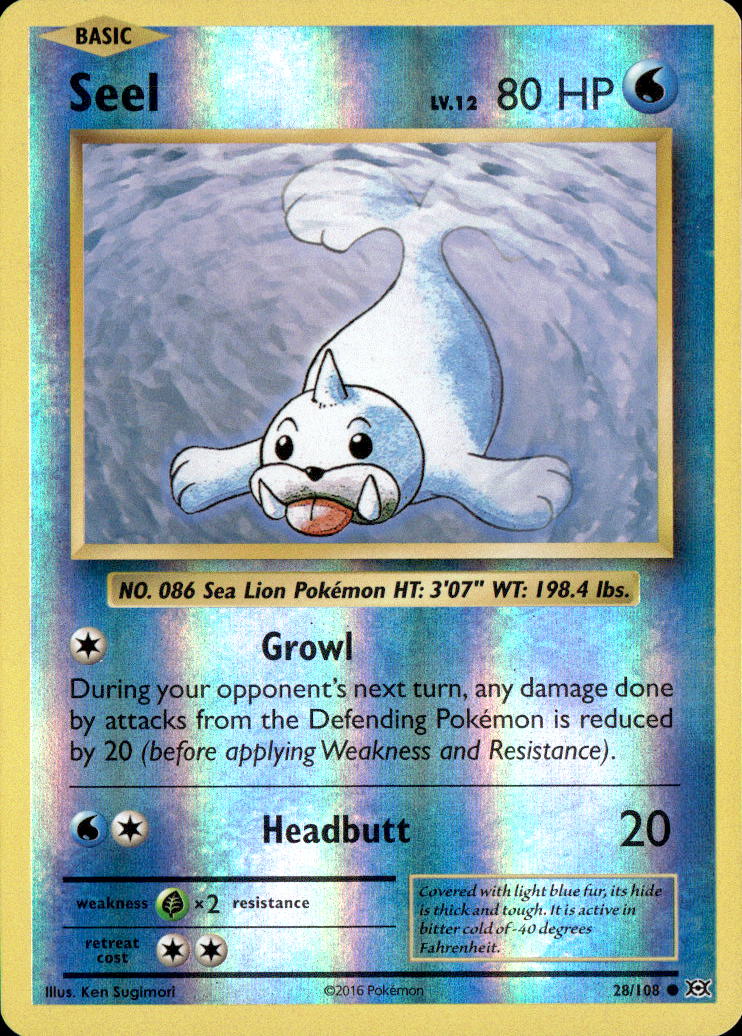 Seel