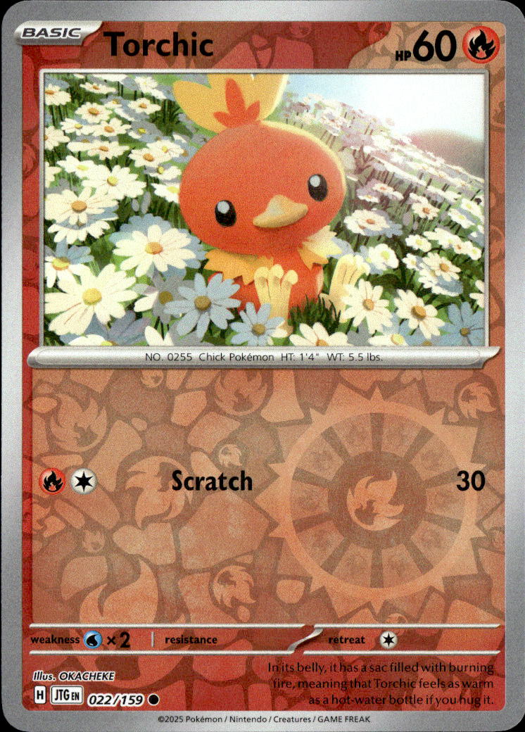 Torchic