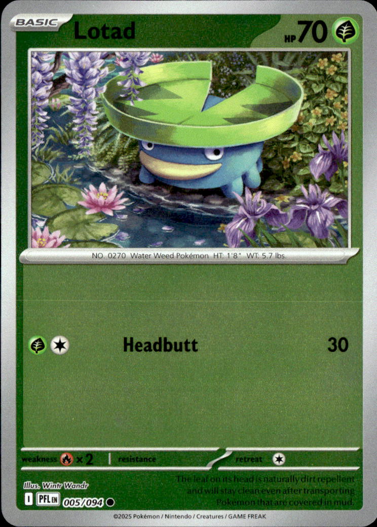 Lotad