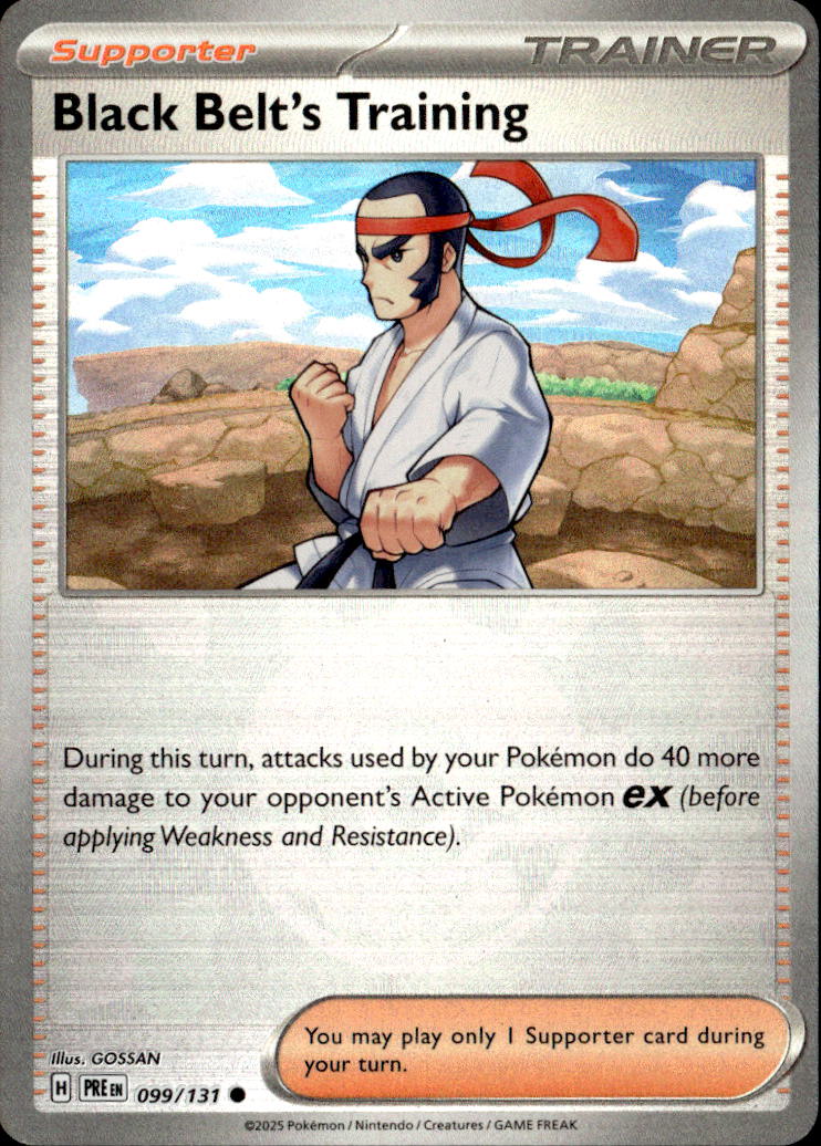 Black Belt's Training - 099/131 (Poke Ball Pattern)