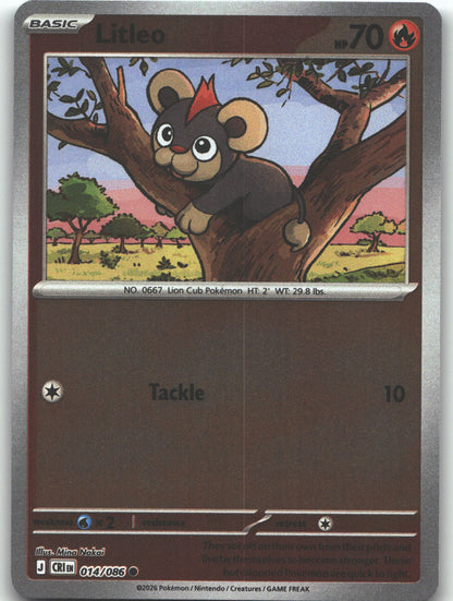 Litleo