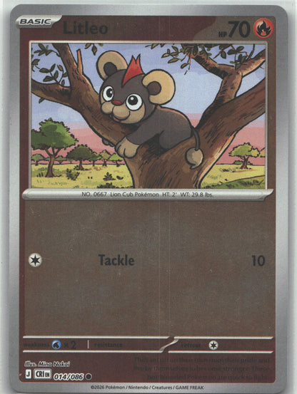 Litleo