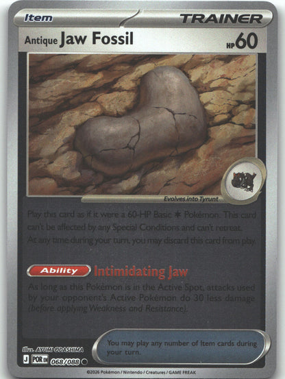 Antique Jaw Fossil