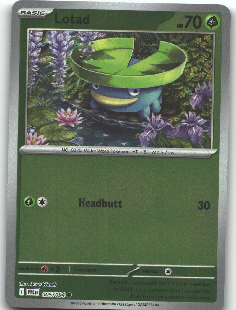 Lotad