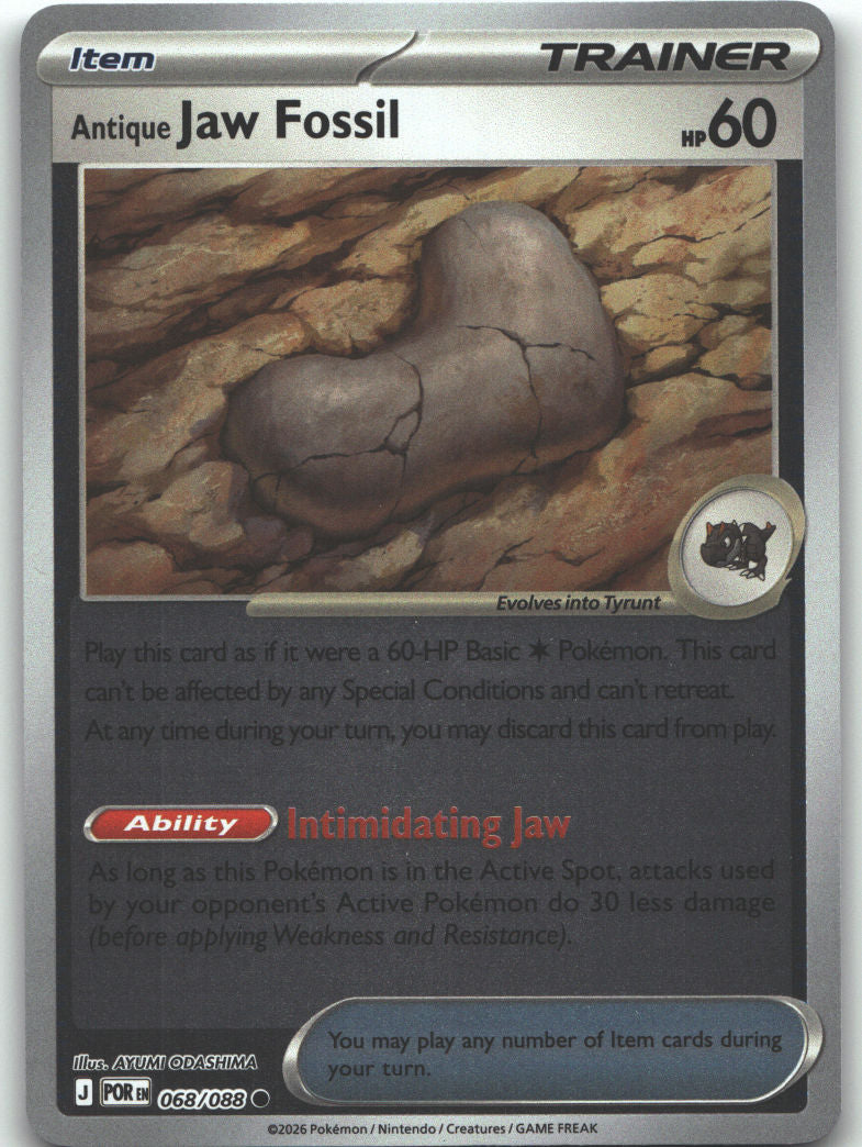 Antique Jaw Fossil