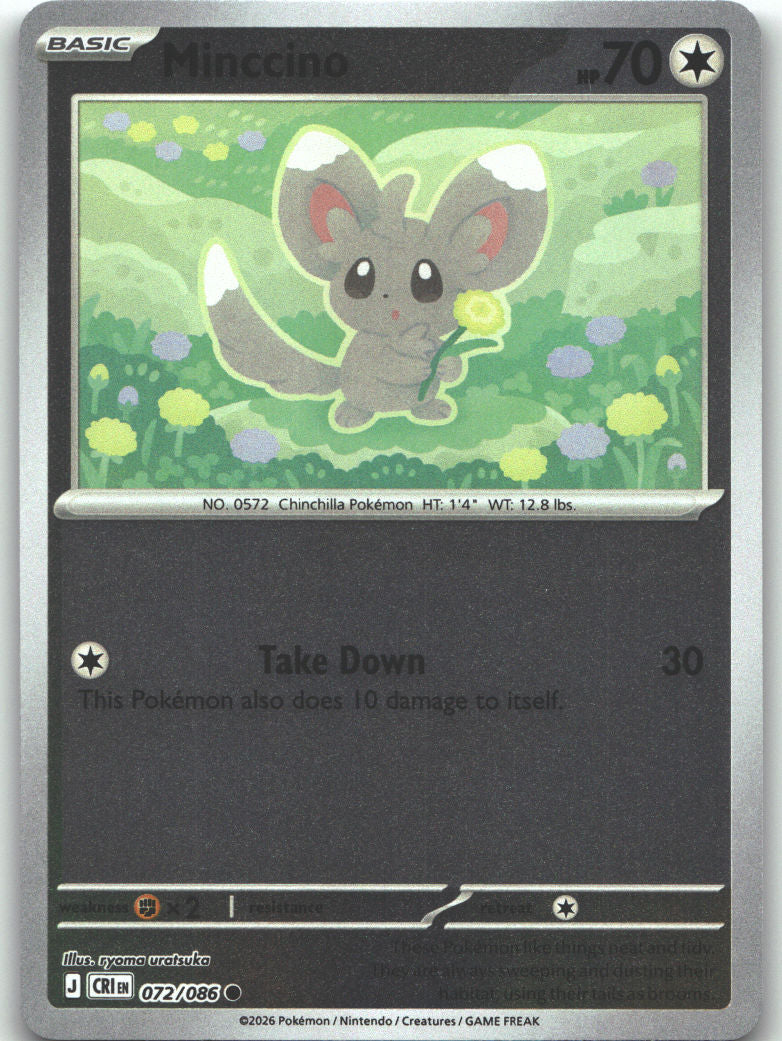 Minccino