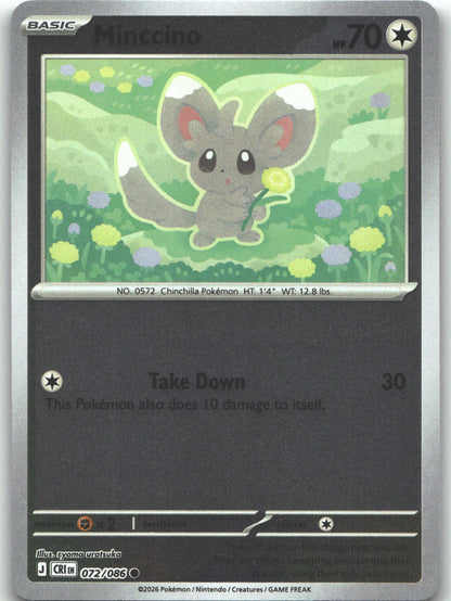 Minccino