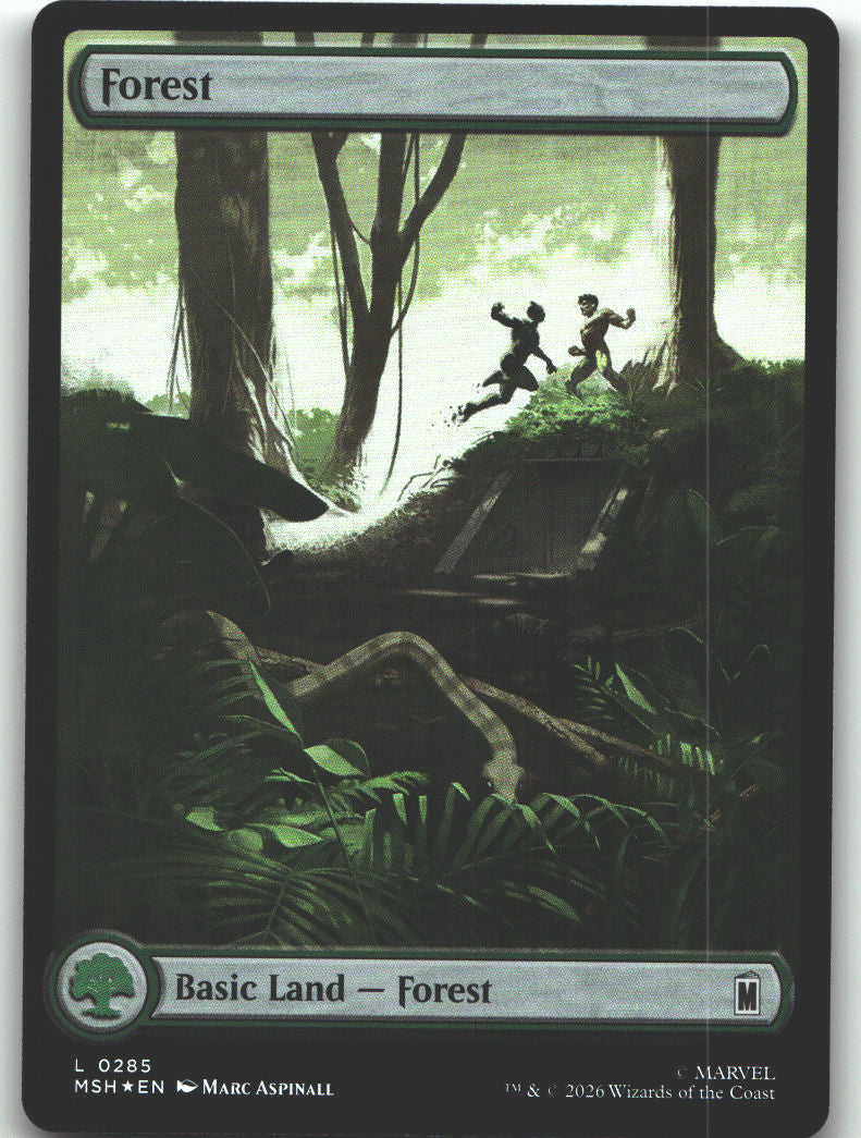 Forest (0285)