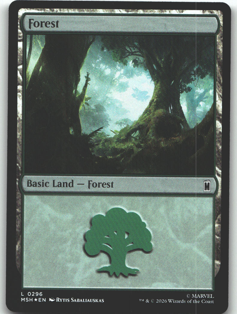 Forest (0296)