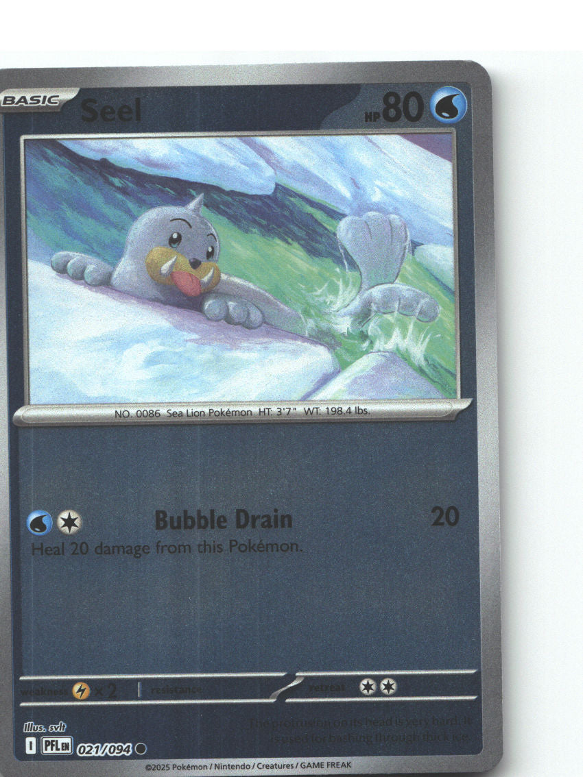 Seel