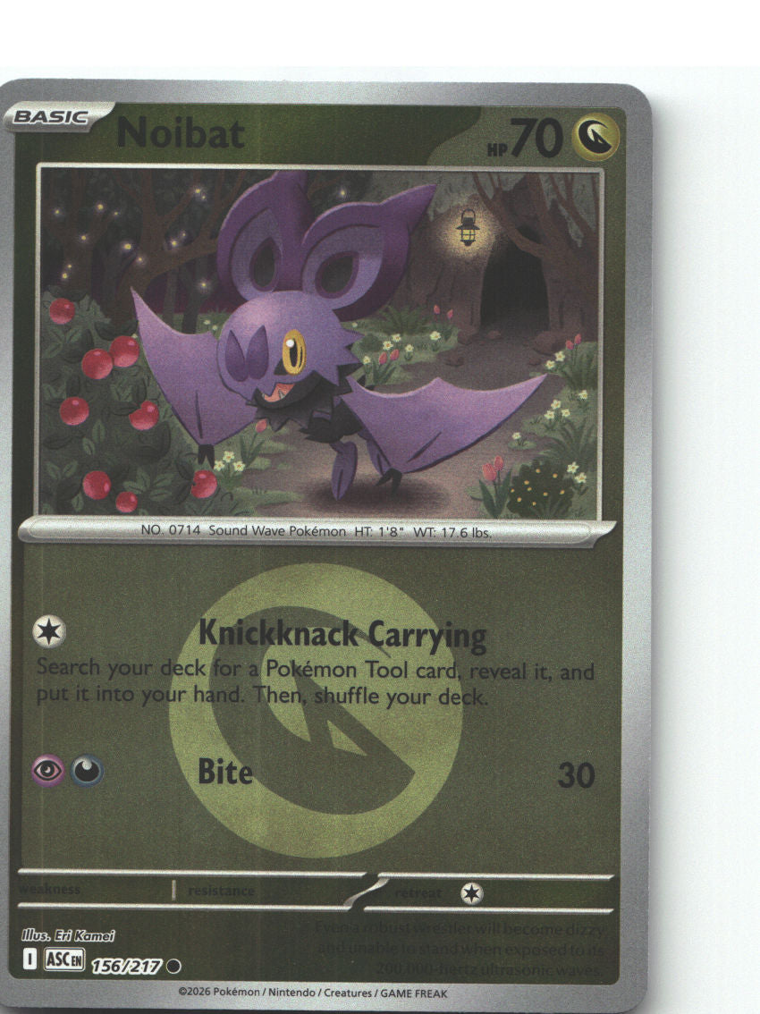 Noibat