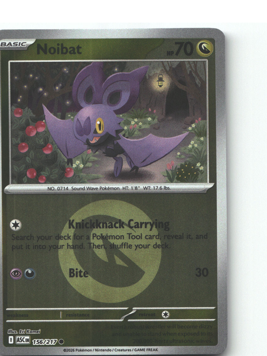 Noibat