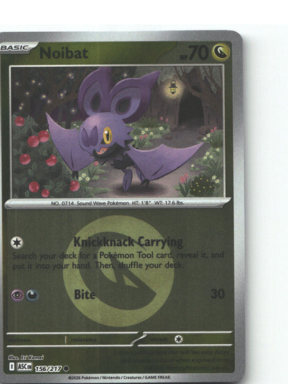 Noibat