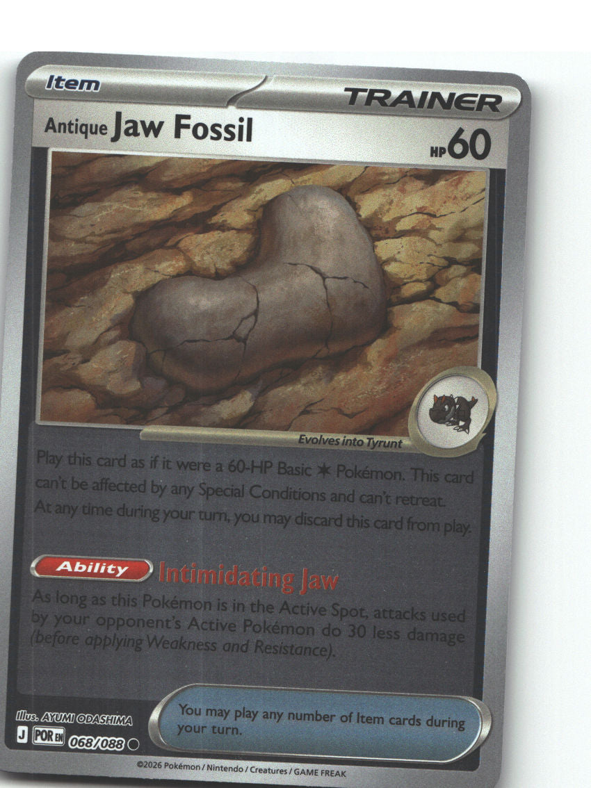 Antique Jaw Fossil