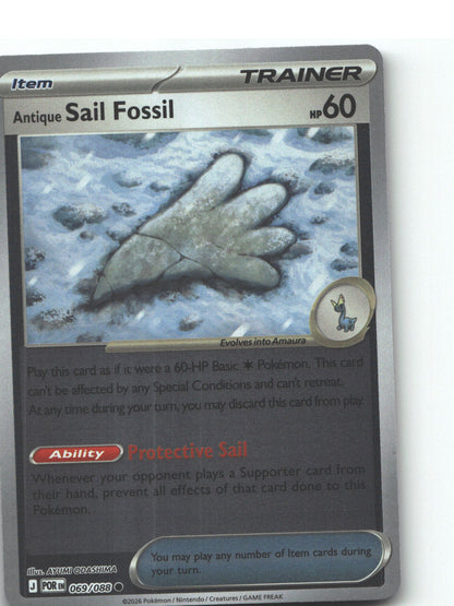 Antique Sail Fossil