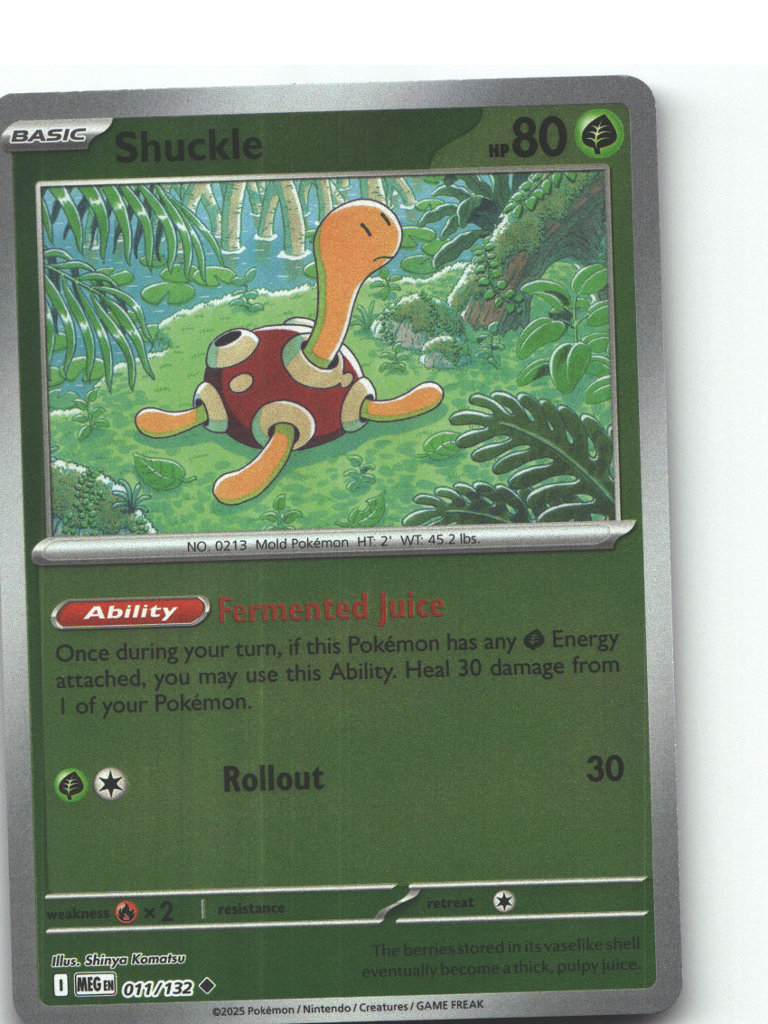 Shuckle - 011/132