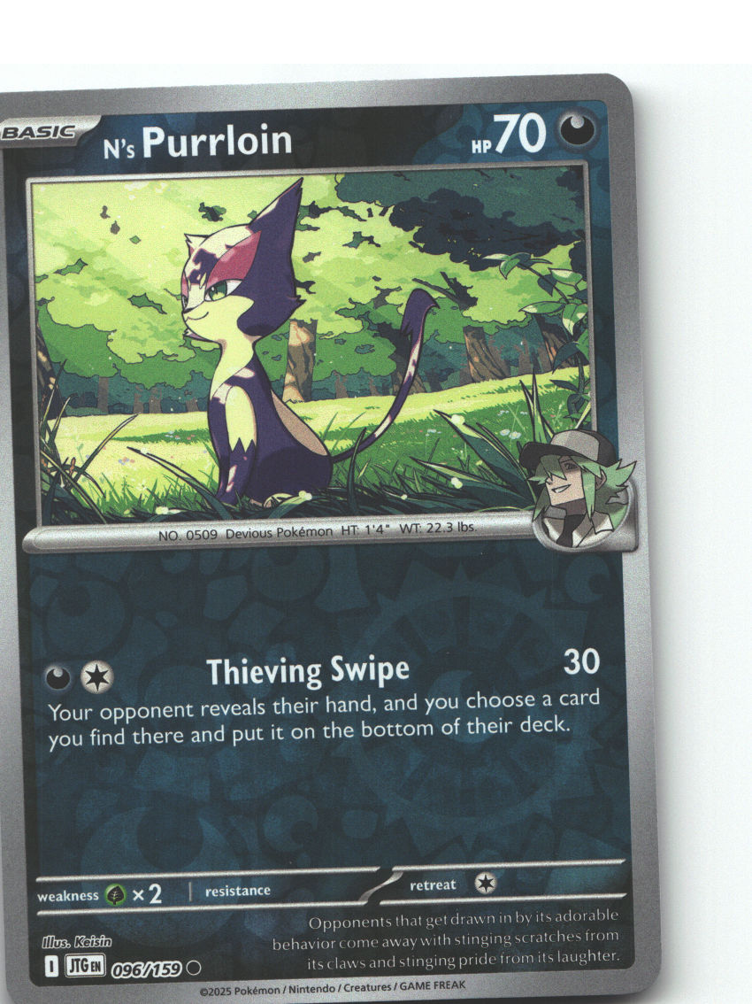 N's Purrloin