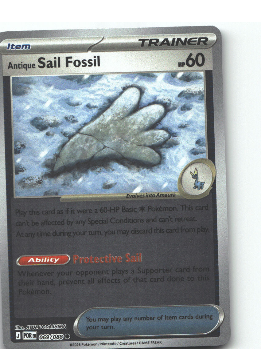 Antique Sail Fossil