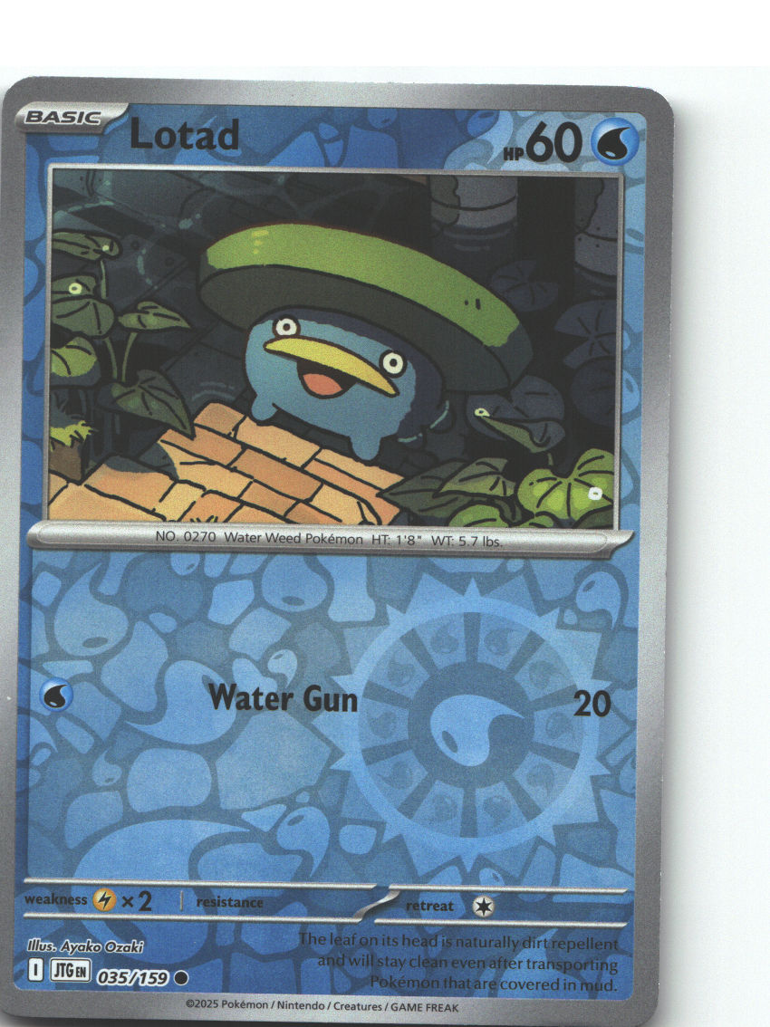 Lotad