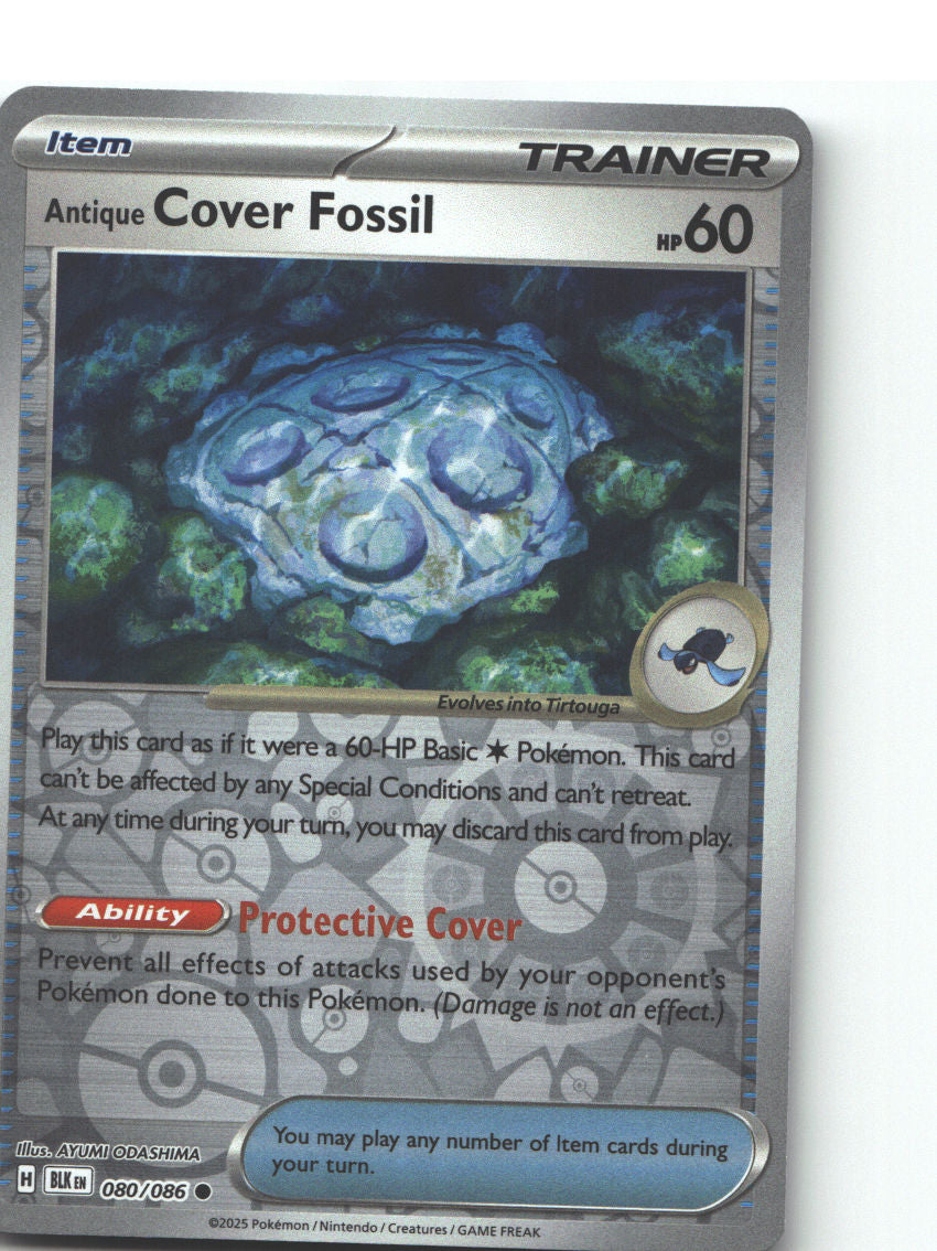 Antique Cover Fossil