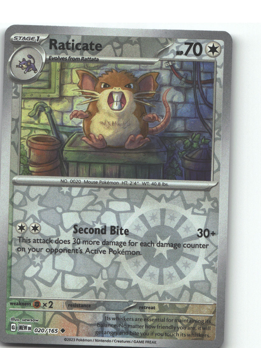 Raticate