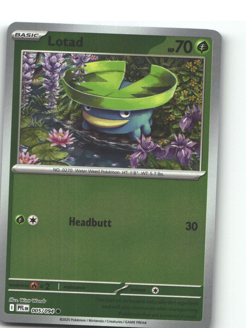 Lotad