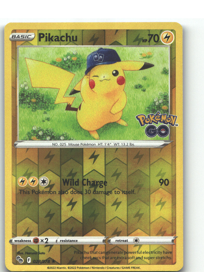 Pikachu (28)