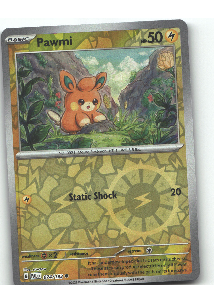 Pawmi