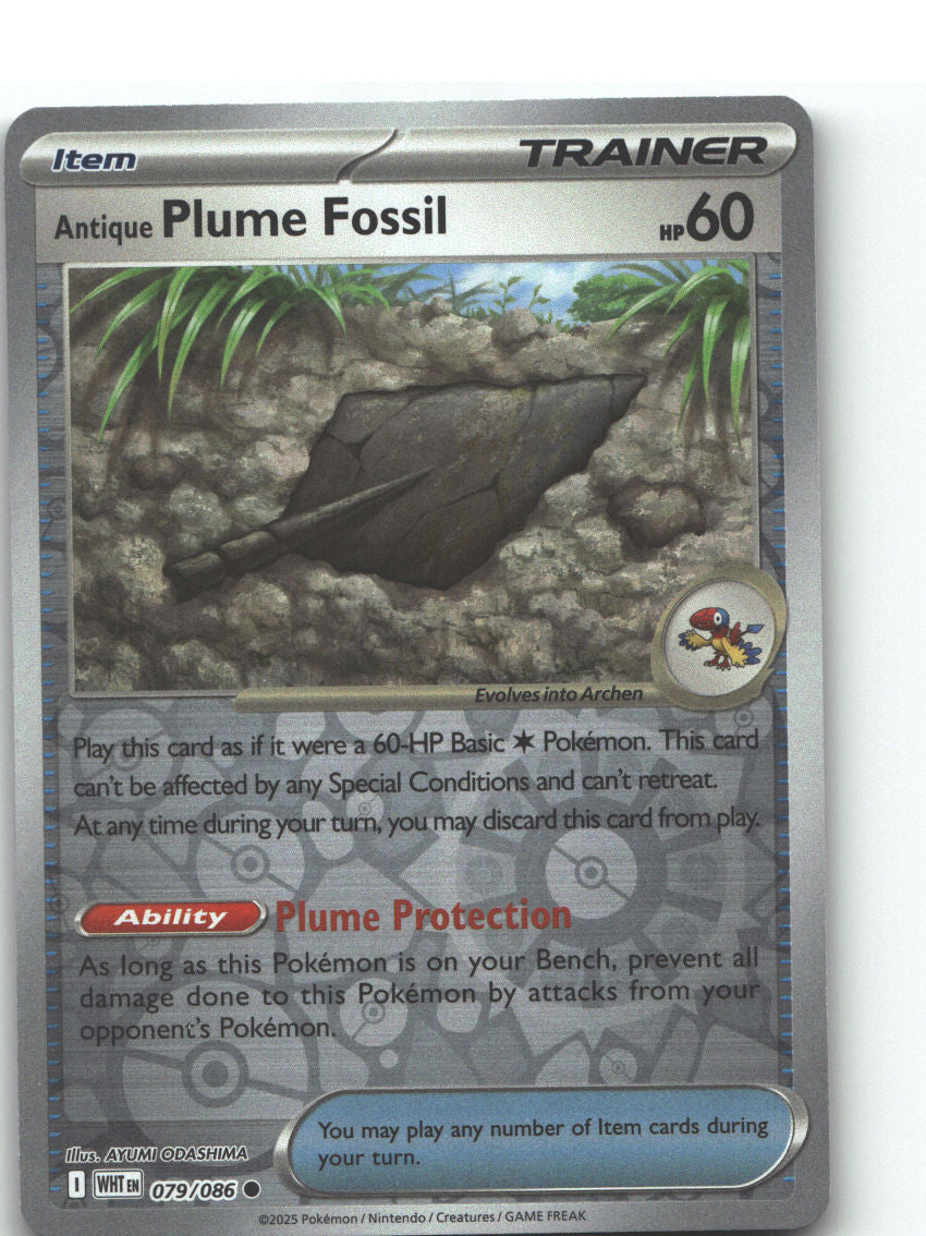 Antique Plume Fossil