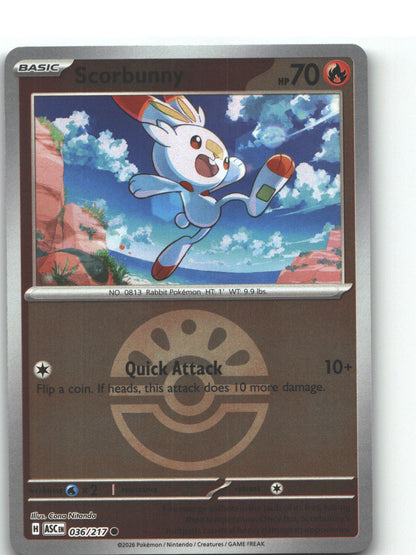 Scorbunny - 036/217 (Friend Ball)
