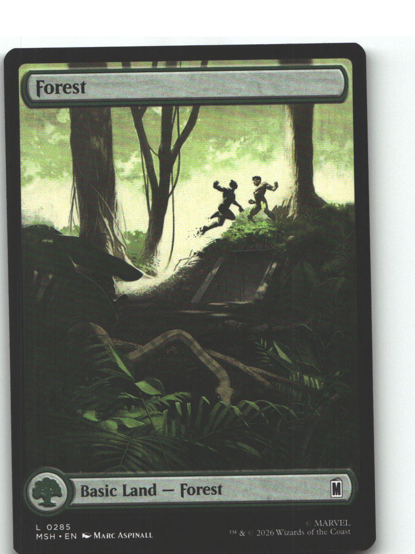 Forest (0285)