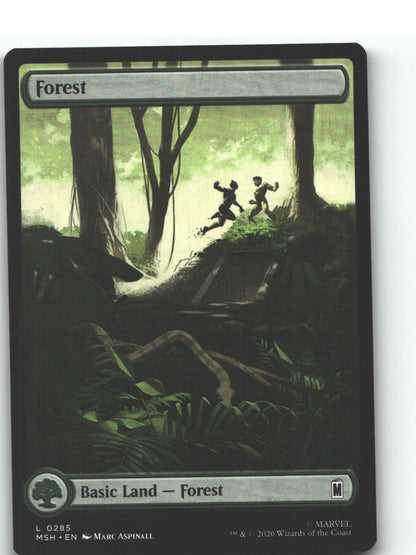 Forest (0285)