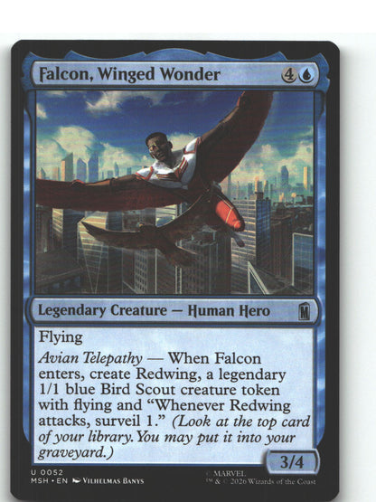 Falcon, Winged Wonder