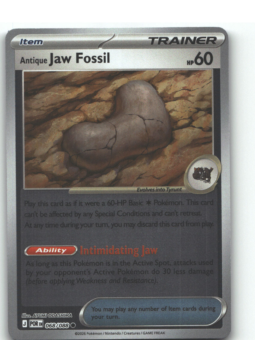 Antique Jaw Fossil