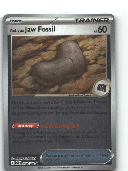Antique Jaw Fossil