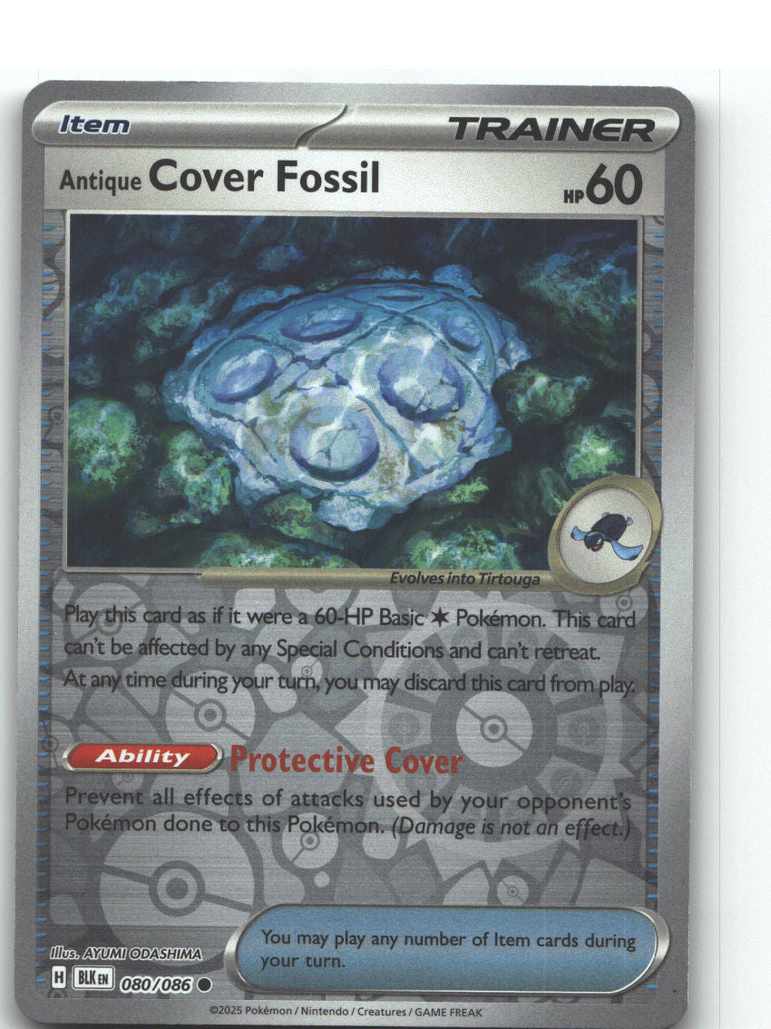 Antique Cover Fossil