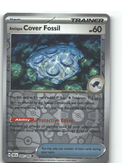 Antique Cover Fossil
