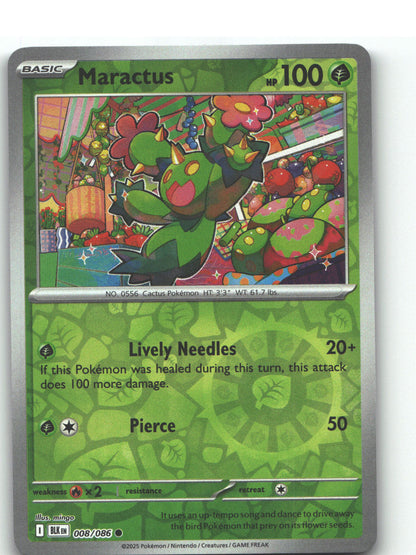Maractus