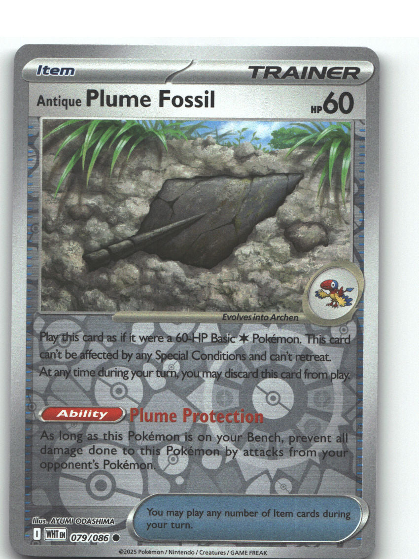 Antique Plume Fossil
