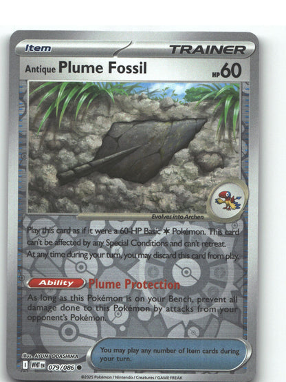 Antique Plume Fossil