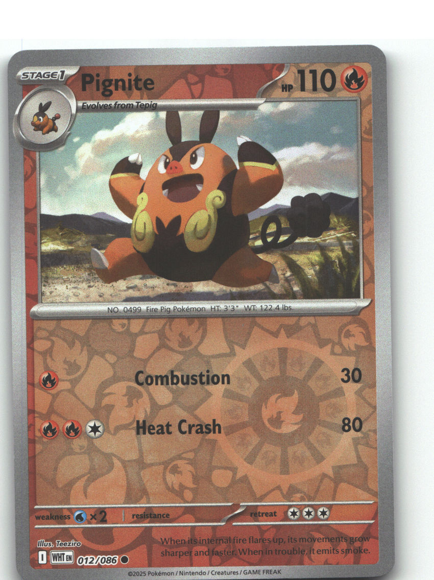 Pignite