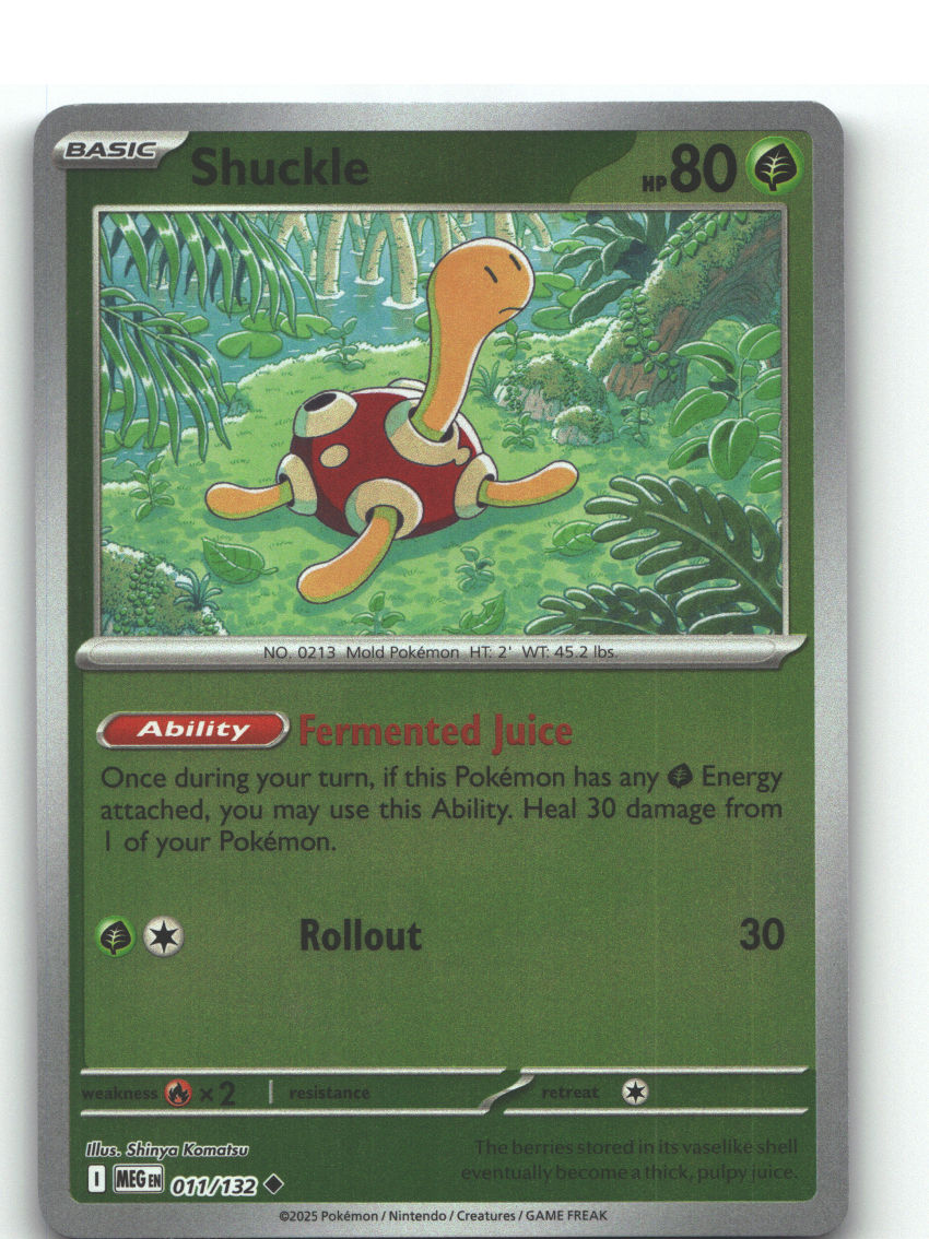 Shuckle - 011/132