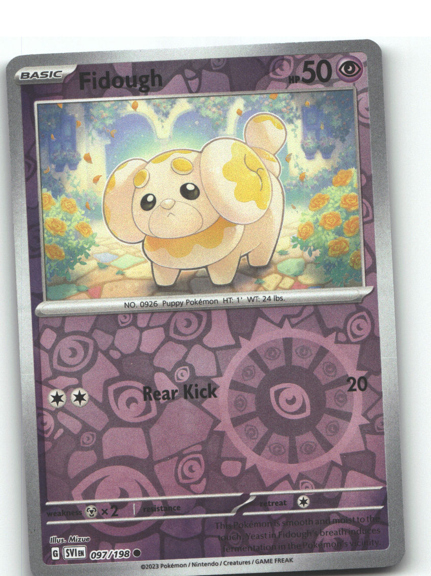 Fidough - 097/198