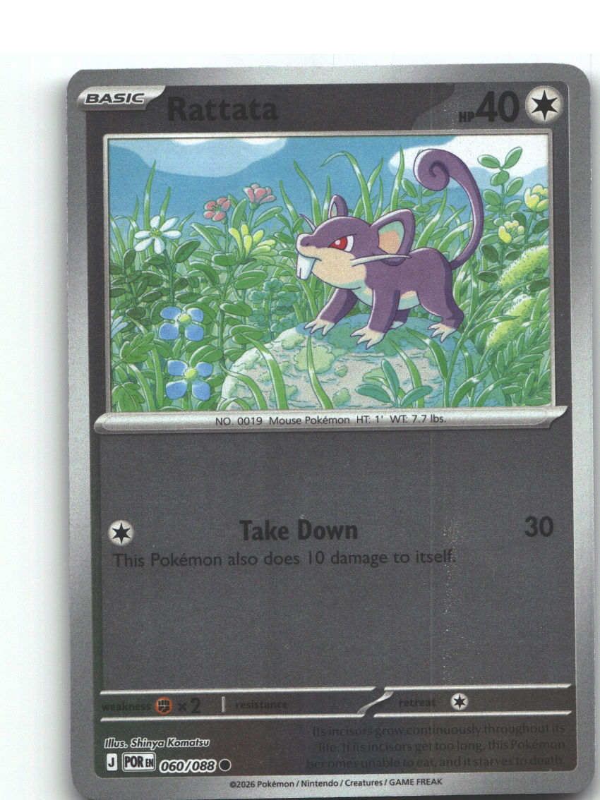 Rattata