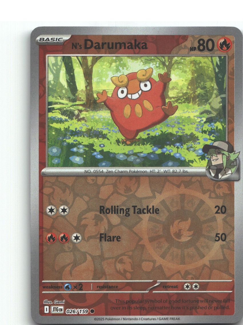 N's Darumaka