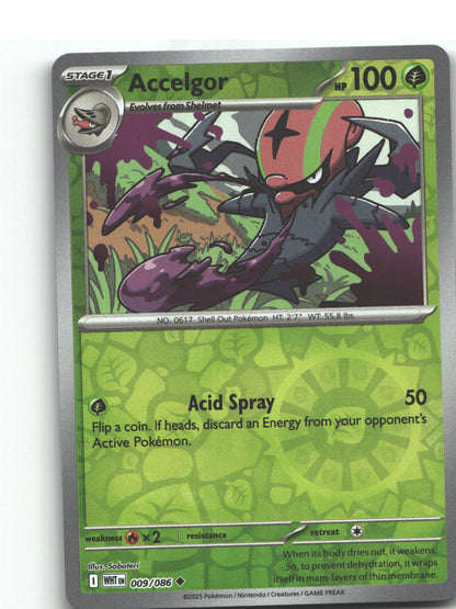 Accelgor