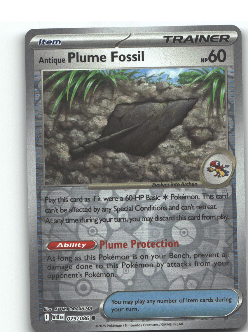 Antique Plume Fossil
