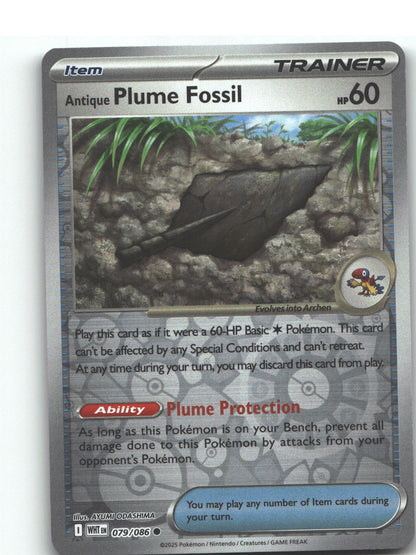 Antique Plume Fossil