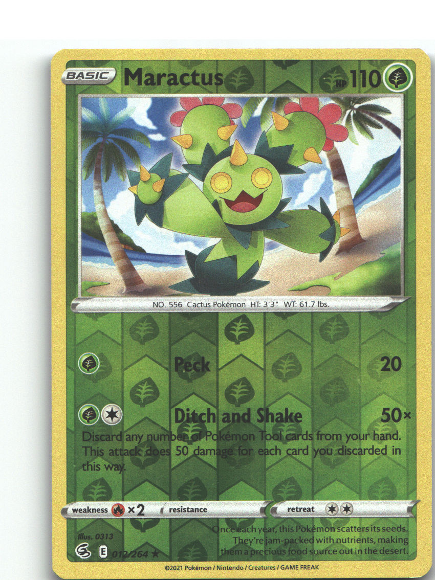 Maractus