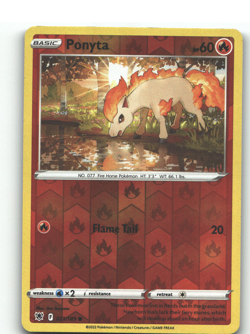 Ponyta
